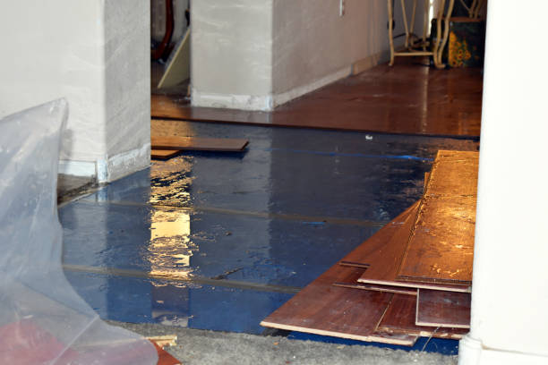 Professional Flood Damage Repair technician working in Lake George, MI